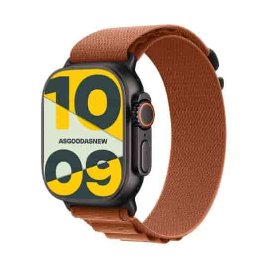 Apple Watch Ultra 3 GPS + Cellular 49mm Titan schwarz Alpine Loop terracotta S