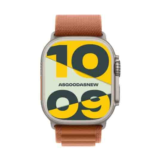 Apple Watch Ultra 3 GPS + Cellular 49mm Titan natur Alpine Loop terracotta L