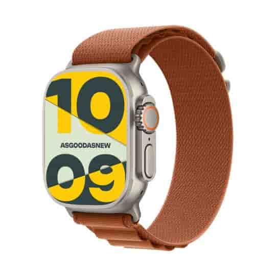Apple Watch Ultra 3 GPS + Cellular 49mm Titan natur Alpine Loop terracotta L