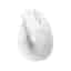 Logitech Souris Lift pour Mac Maus Wireless