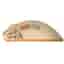 Pulsar Xlite V2 Wireless (Size 2) Medium Maus Wireless