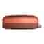 Lautsprecher Bluetooth Bang & Olufsen Beoplay A1 - Bronze