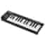 Akai Professional LPK25 Musikinstrumente