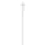 Apple Lightning to USB-C 1m Kabel