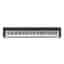 Casio CDP-S100 Musikinstrumente