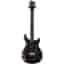 PRS S2 Musikinstrumente