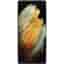 Galaxy S21 Ultra 5G 256GB - Dark Blue - Unlocked