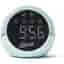 Roberts Duck egg Radio alarm