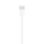 Apple USB to Lightning 1m Cable