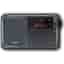 Eton NELITESATELLIT Radio alarm