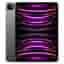 iPad Pro 11-inches (2022) 4th gen 128 GB - Wi-Fi + 5G - Space Gray