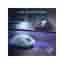 Razer DeathAdder V3 Pro RZ01-04630100-R3U1 Mouse Wireless