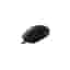 Logitech G203 Lightsync 910-005790 Mouse Wireless