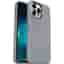 iPhone 12 Pro Max case - - Gray