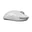 Logitech G Pro X Superlight Mouse Wireless