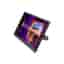 Asus 16-inch Monitor 1920 x 1080 LCD (ZenScreen MB169CK)