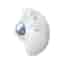 Logitech Ergo M575 Mouse Wireless