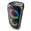 Enceinte Bluetooth Ngs WILDTEMPER - Noir
