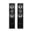 Enceinte Bluetooth Evidence Acoustics STAR5 - Noir