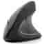 Souris Gembird MUSW-ERGO-01 Sans fil