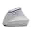 Souris Simpletek Vertical Ergonomic mouse, RGB, Bluetooth/WiFi, Integrated battery Sans fil