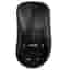Souris Pulsar Xlite V2 Wireless (Size 2) Medium Sans fil