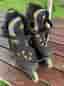 rollerblades