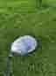 Golfklubba vänsterhänt Baffler