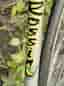 Rossin Special Record Campagnolo 1970-tal