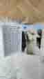 Alpacka matta 80x120
