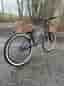 Nsbikes Capital 24”