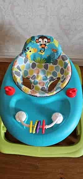 Bright Starts Giggling Safari Gåstol