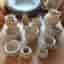 Linnea krukor säljes