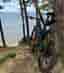 Specialized Epic Comp 2020