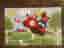 Babblarna pussel - 24 bitar - 60 x 40 cm- komplett