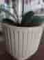PLASTBLOMMOR MED KRUKA