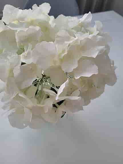Konstgjorda blommor
