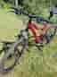 Mountain/cross-country bike BIANCHI MONTANA