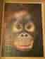 Pussel Orangutang Mattias A. Klum 300 bitar
