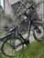 elcykel winther superb