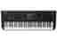 Yamaha MODX6 plus (New)