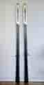 Fischer revolution RCR Supercarve 178 cm slalomskidor