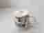 Muminmugg Under granen Mumin
