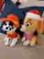 Paw Patrol gosedjur