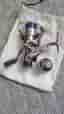 Mitchell 300 Old Model Spinnrulle 20
