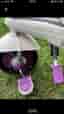 Smart Trike Tricycle med sittdel och solskydd lila och vit
