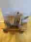 Gung elefant