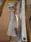 RAGIM RECURVE BÅGE

Wildcat