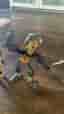 LEGO Bionicle byggfigurer