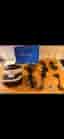 PlayStation VR headset